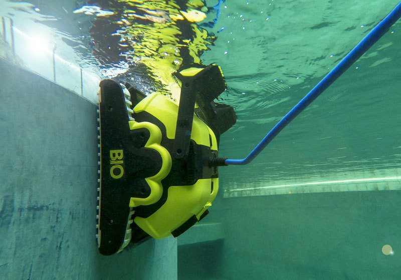 רובוט לבריכה Dolphin BIO Suction – תמונה 3